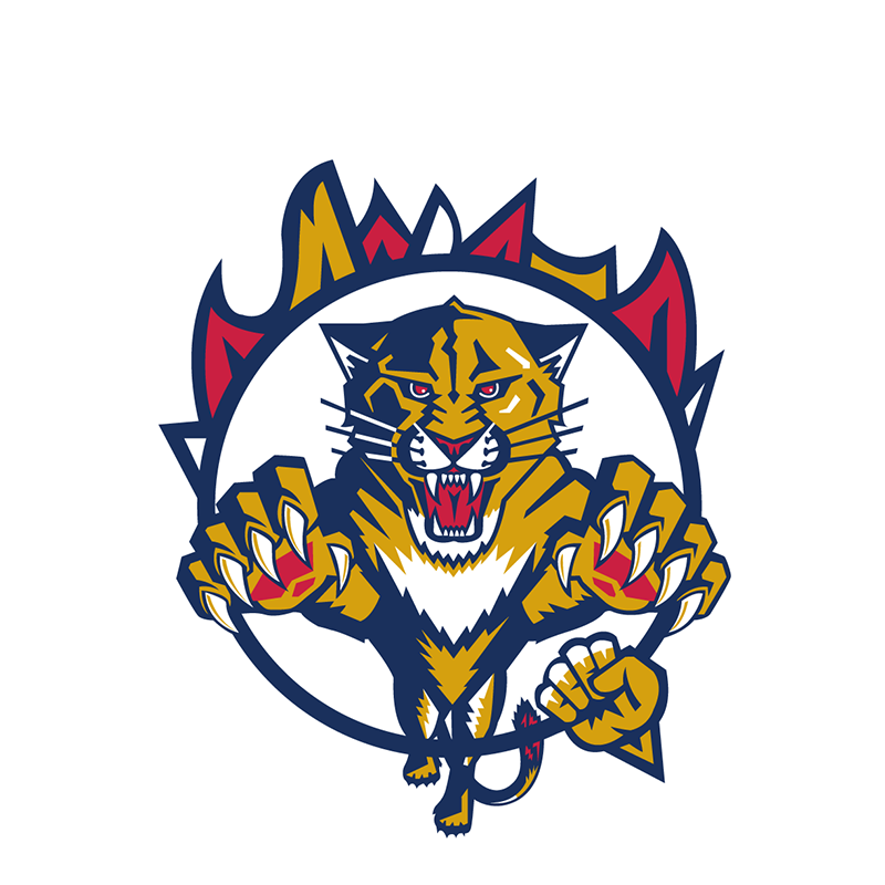 Florida Panthers Entertainment logo iron on heat transfer